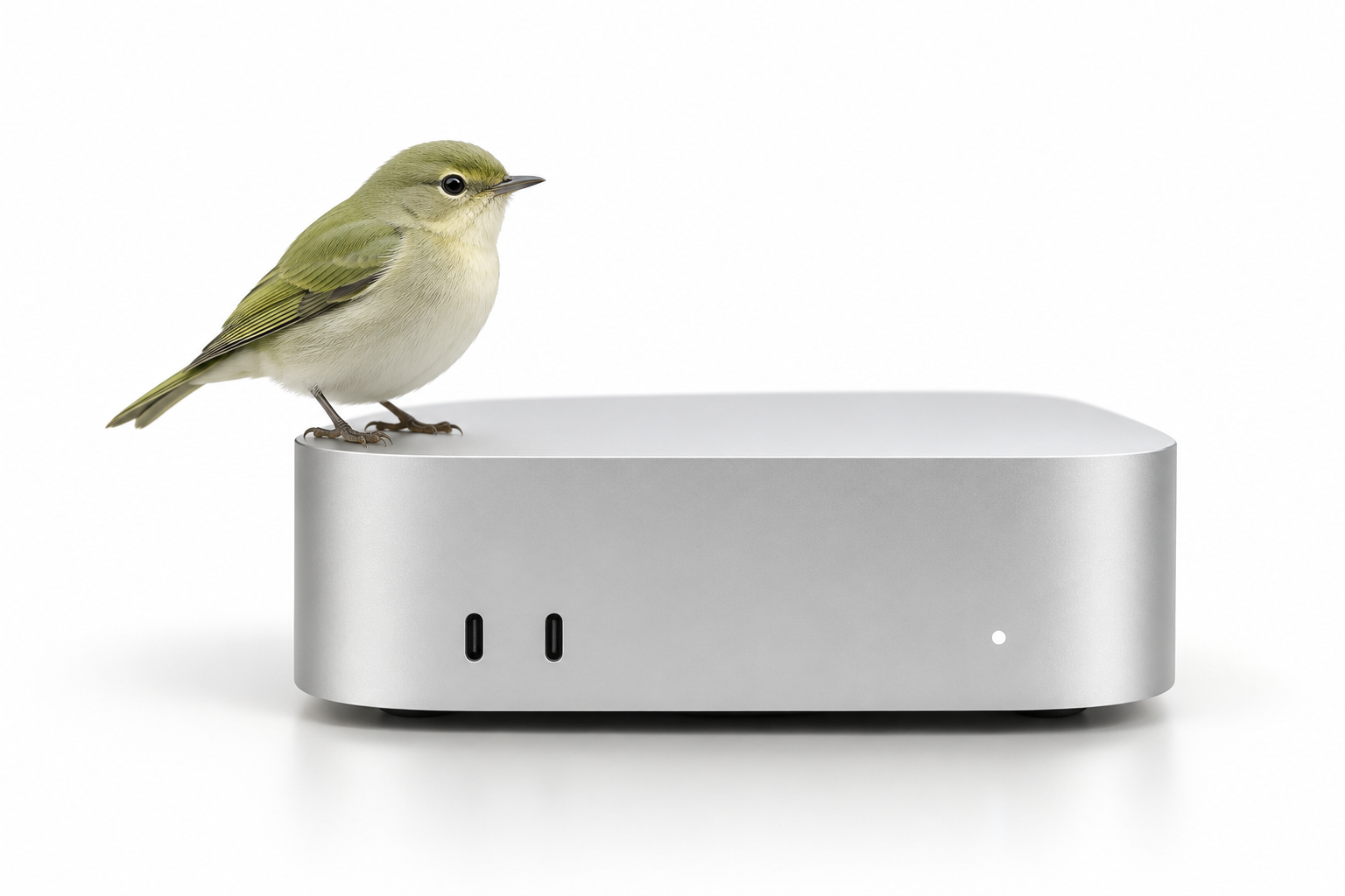 A little green bird perched on a silver desktop computer. Concept artwork for Perch.